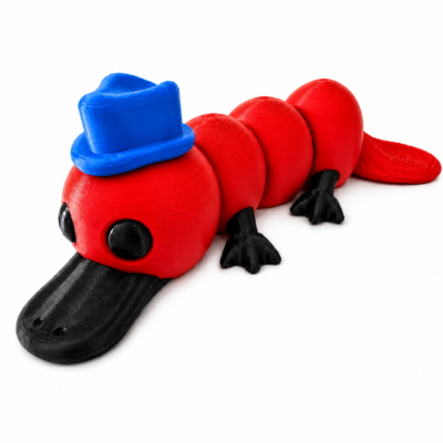 Fancy Platypus Sensorial