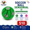 Soccer Ball Sensorial